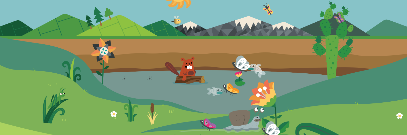 Water Explorer Spain banner