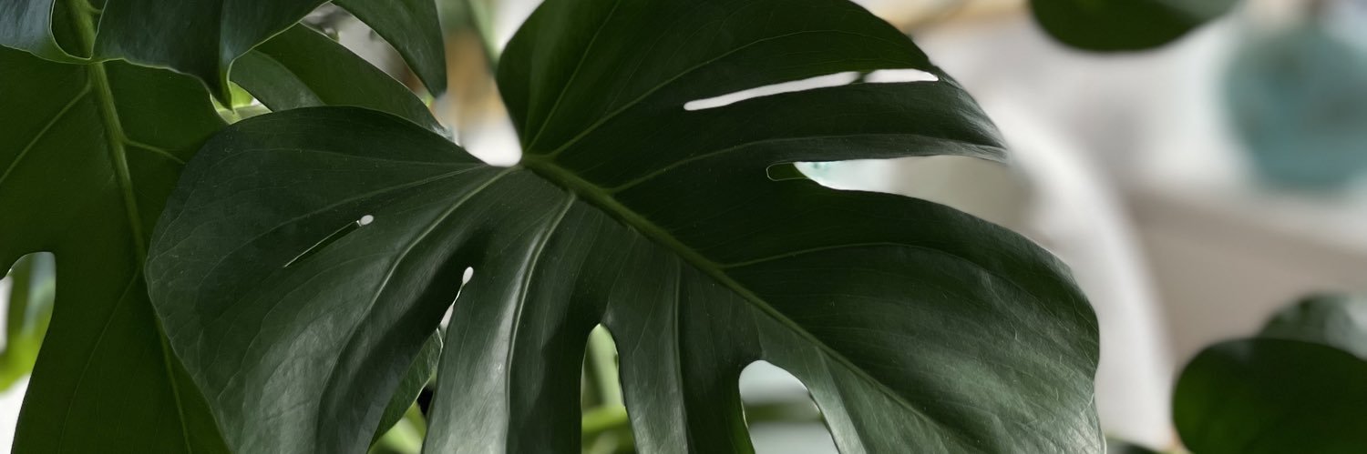 ClareFaurote's profile banner image