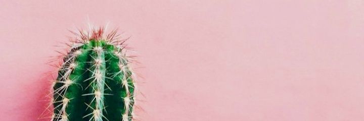 Camibrravo's profile banner image