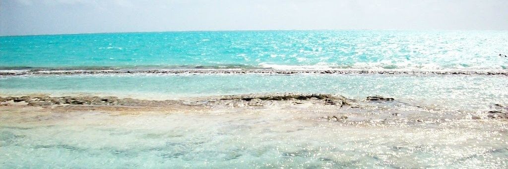 Jorge_Lopez84's profile banner image