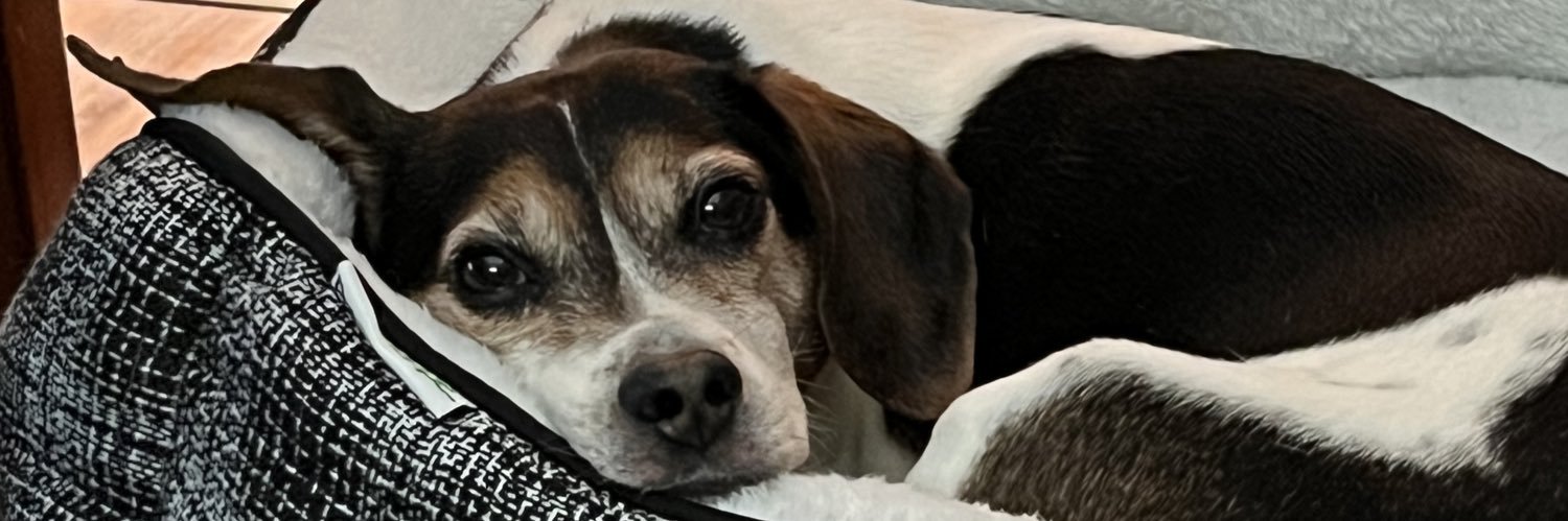 SharonBollenba1's profile banner image