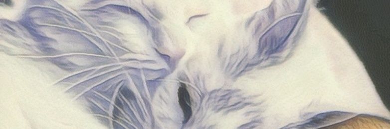 LieLieLie000's profile banner image