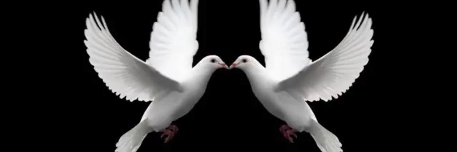 Fact__teller's profile banner image