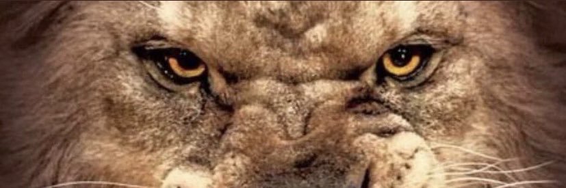 🖤 banner