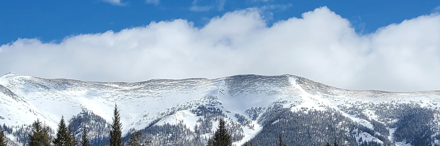 thelark22's profile banner image