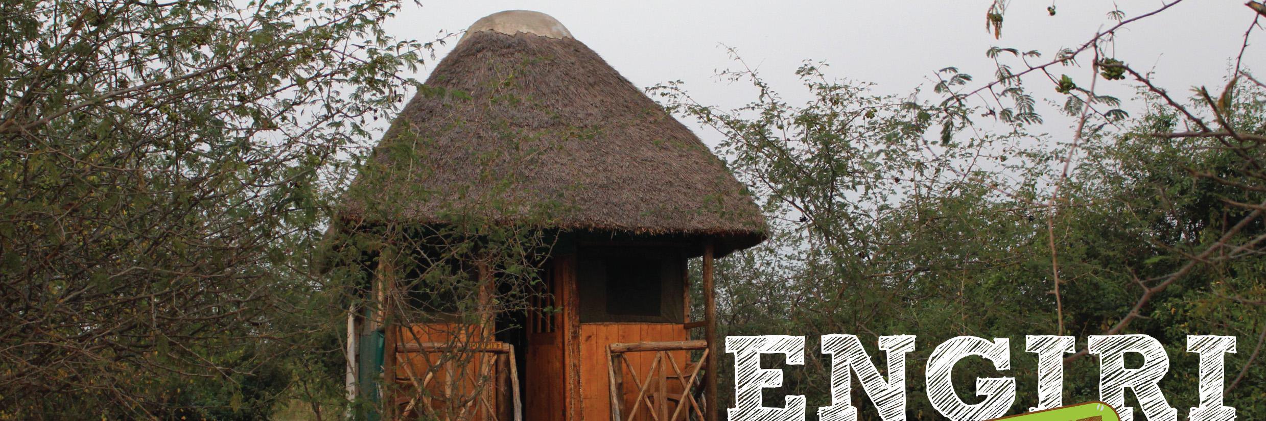 EngiriLodge's profile banner image