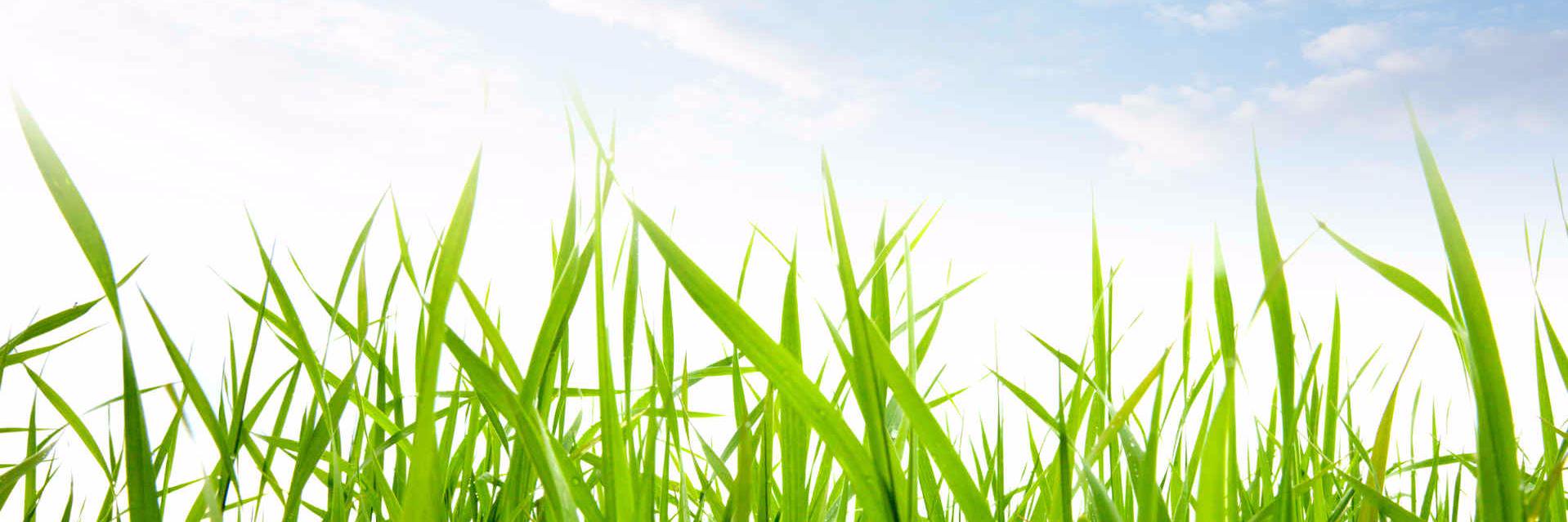 beingwell4ever's profile banner image