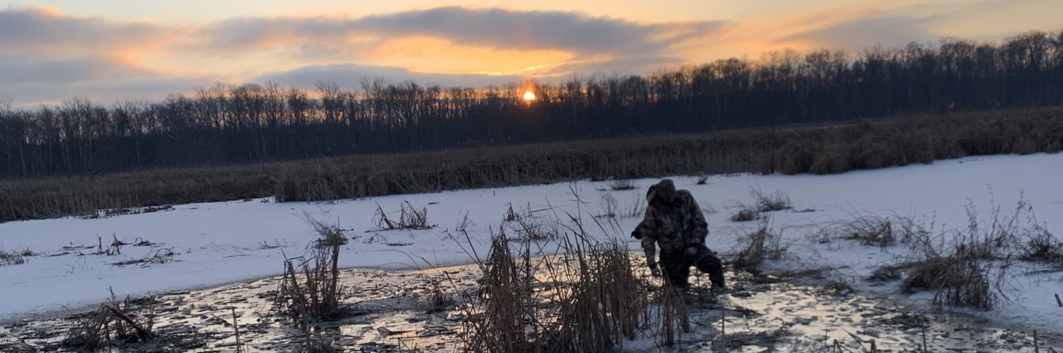 AlexBrickman's profile banner image