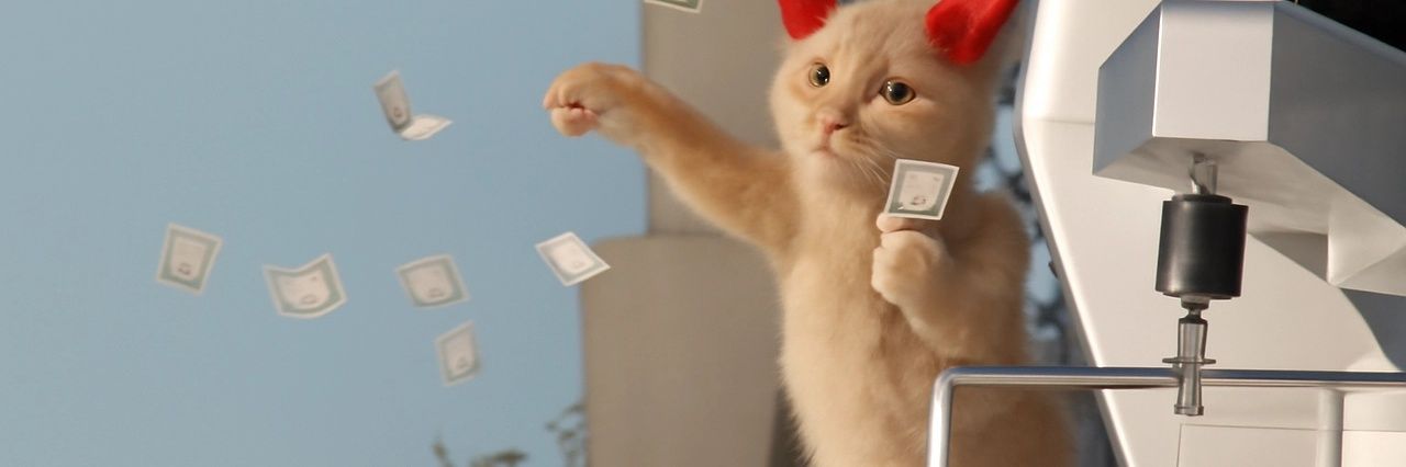 chaton_thecat's profile banner image