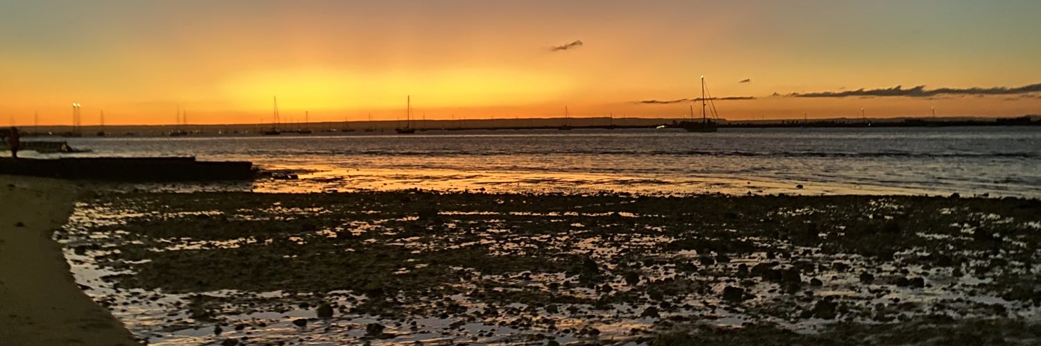 MariajoseOlgui1's profile banner image