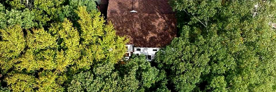 Michael Barone banner