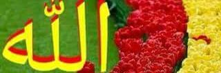 د/ علاء الدين خميس banner