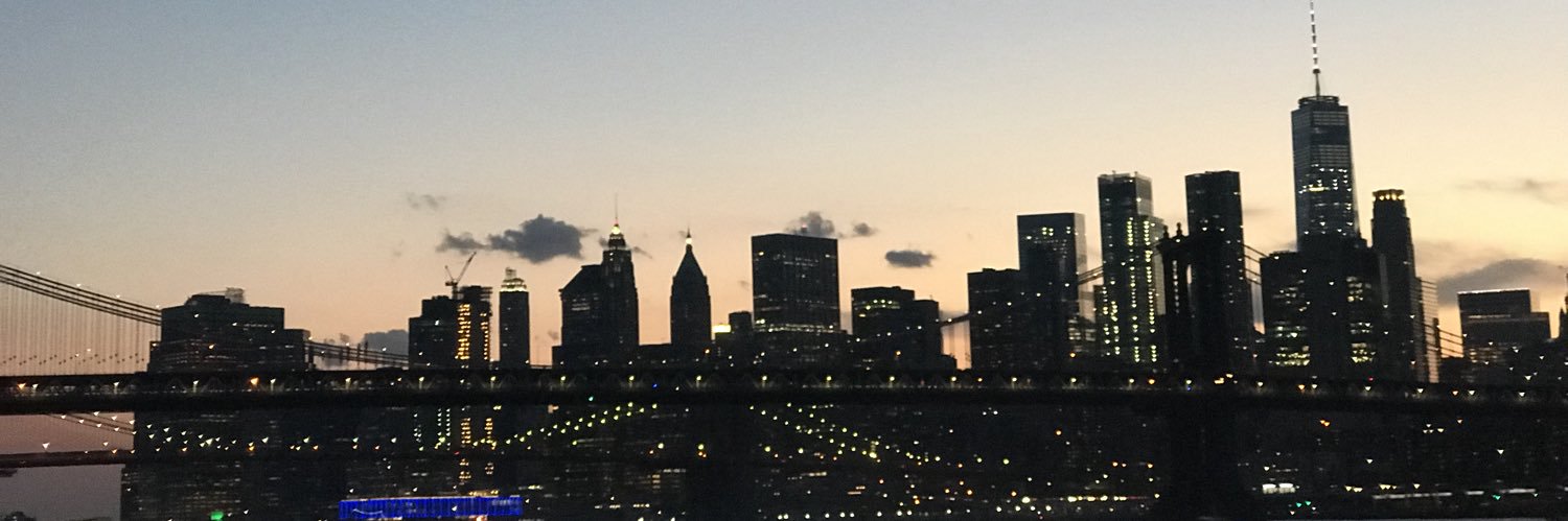 newyorksin's profile banner image