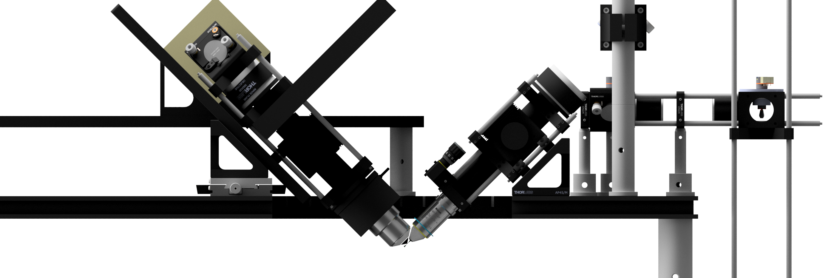 Craig Russell banner