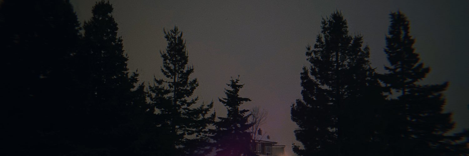 elusaravia's profile banner image
