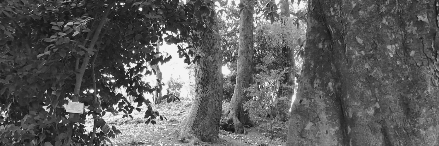 gonabzc's profile banner image