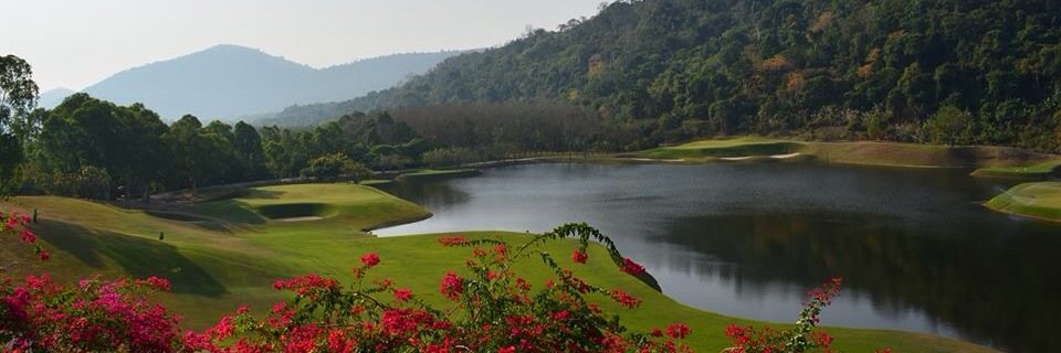 wangjuntr's profile banner image