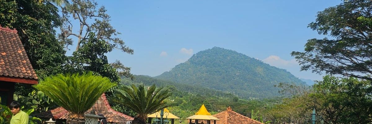 elinmiskini's profile banner image