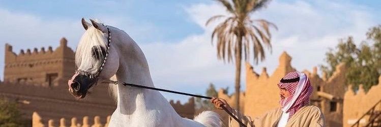 fahumaid's profile banner image