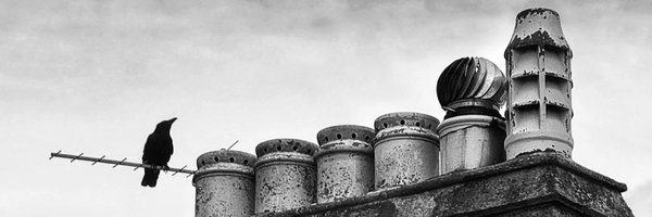 Em_E_Dee Profile Banner