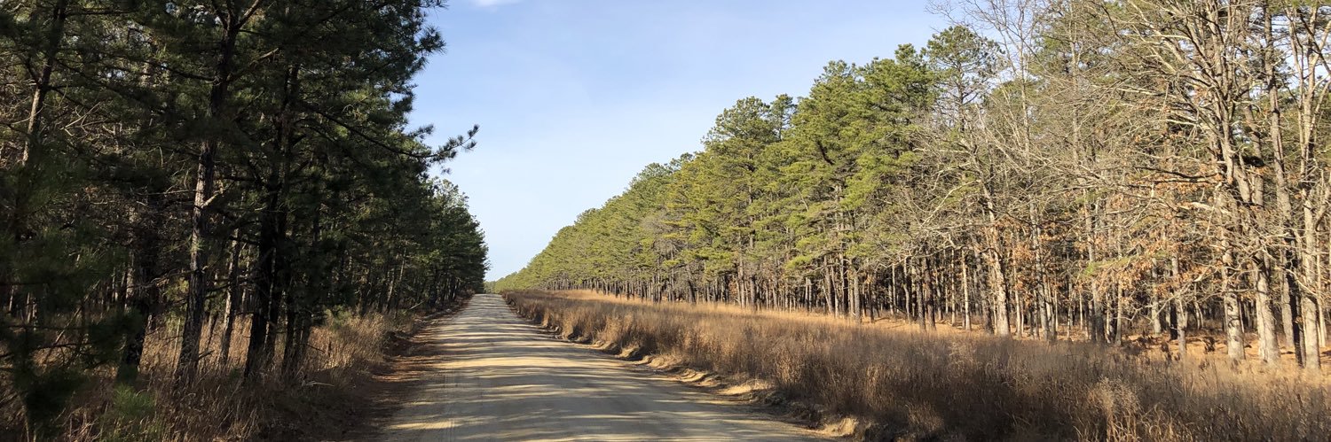 Maria  J. Simpson banner