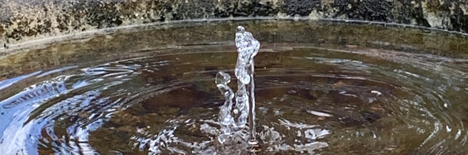 • 0zelement -)¡(- Nitraqua • banner