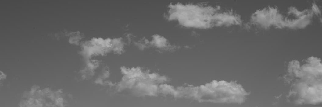 joycelimy's profile banner image