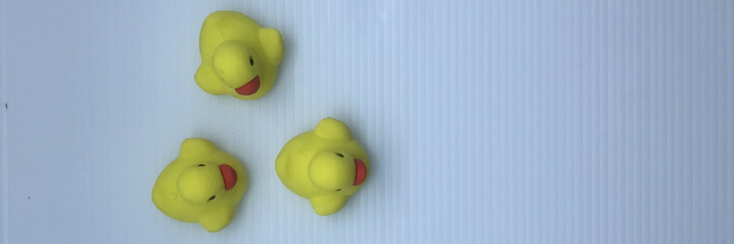 rigeldwi's profile banner image