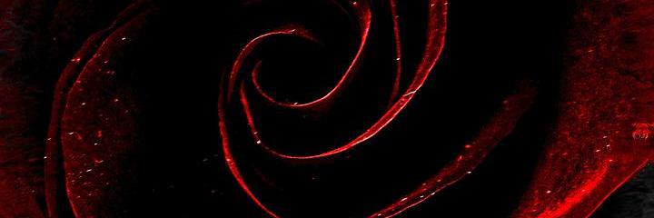 CalicoRose banner
