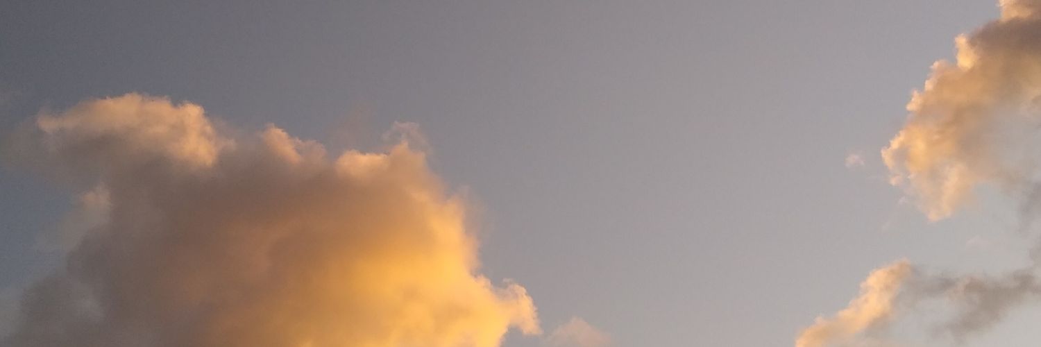 larafrydd's profile banner image