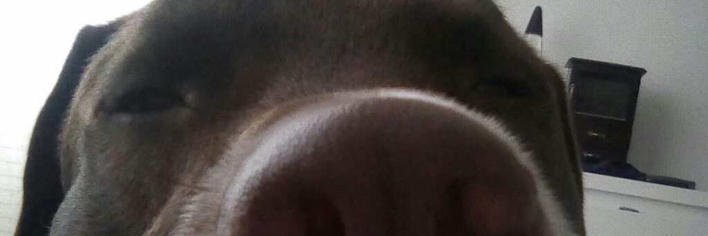 Sasantiago_'s profile banner image