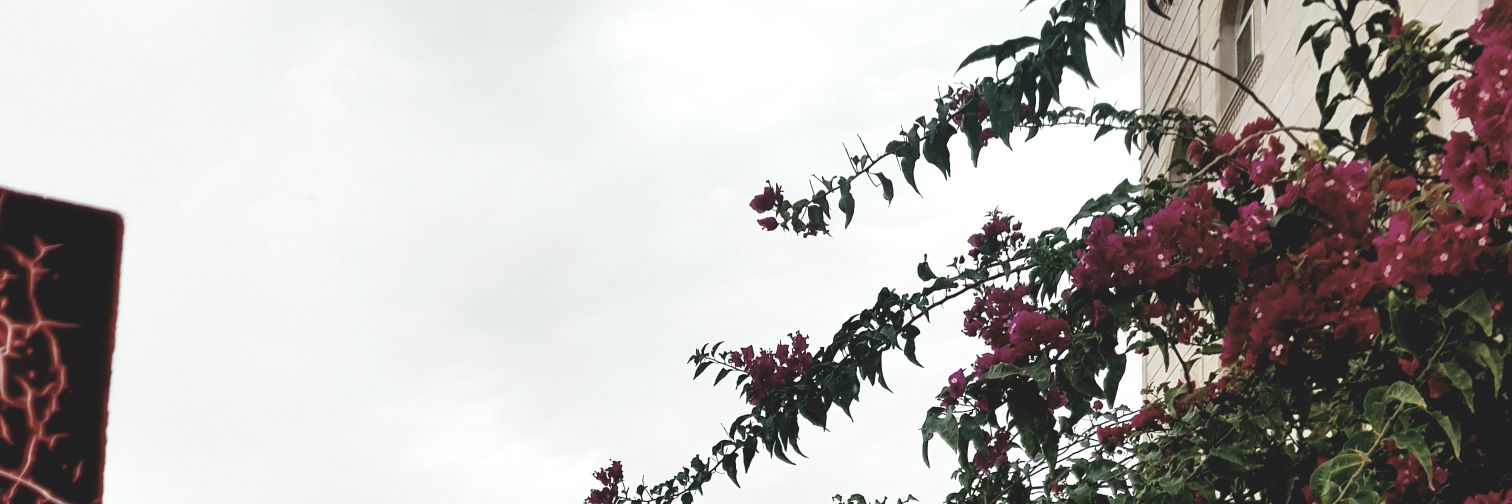 Anoo_____'s profile banner image