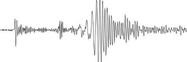 NESEC Profile Banner