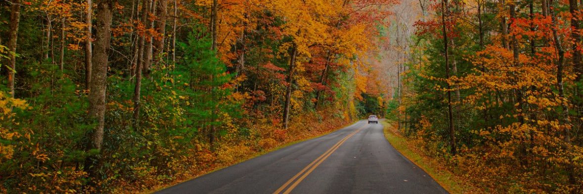 Nicole Blankenship banner