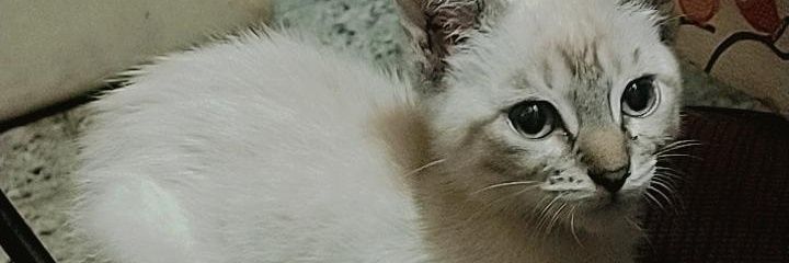 GiseeePR's profile banner image