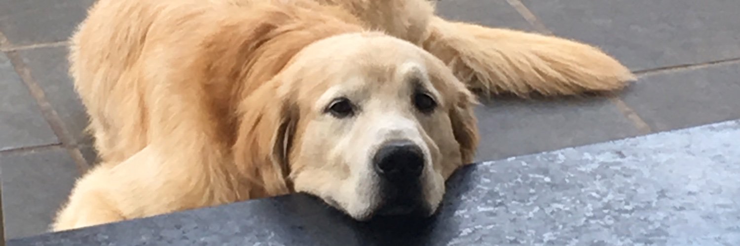 EmanuelaWindson's profile banner image
