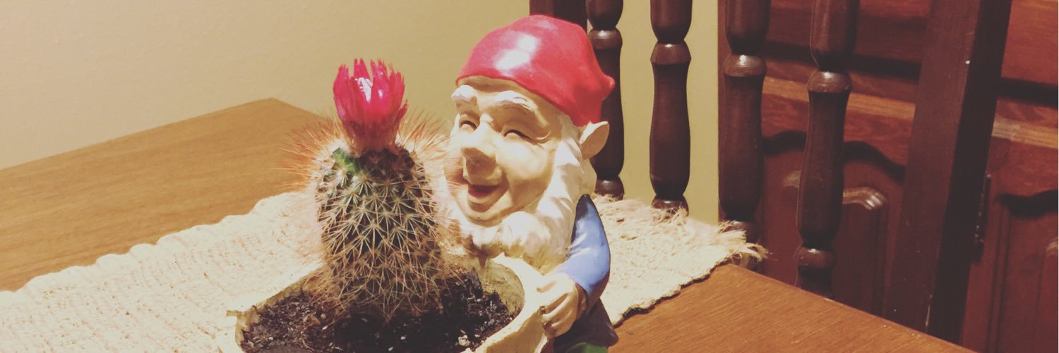 BurrTito's profile banner image