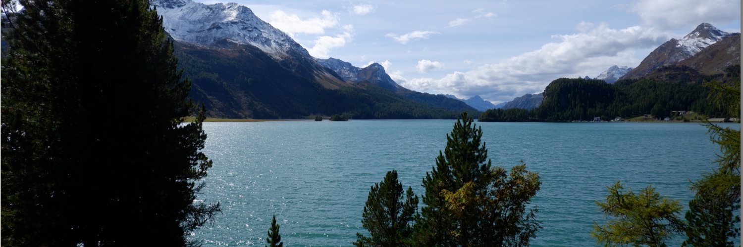 Tania Roettger banner