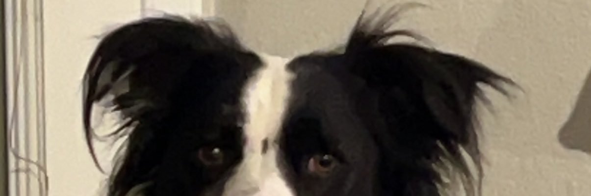 ch0yer's profile banner image