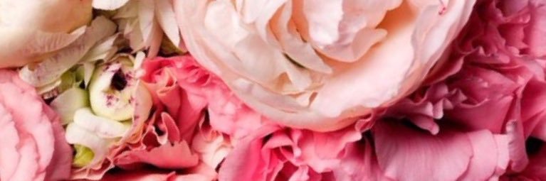 babynumberfive's profile banner image