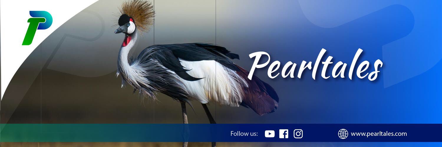 mugabiadrian's profile banner image