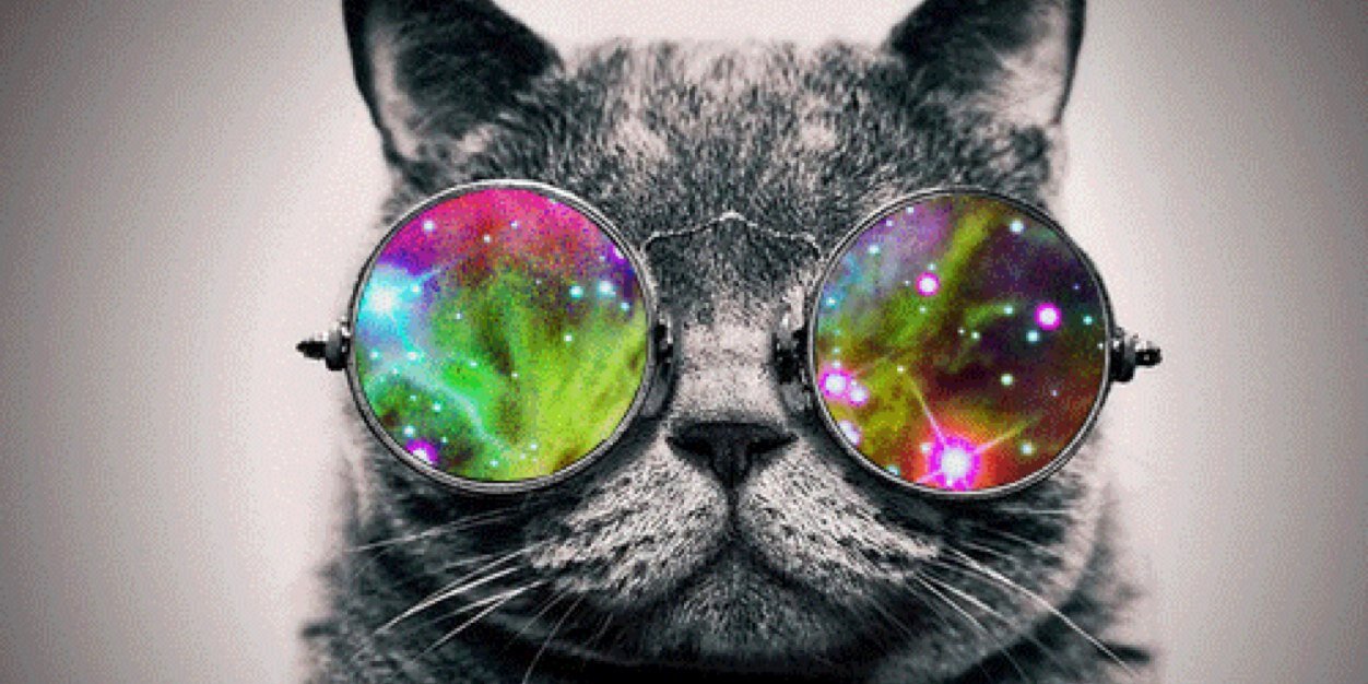 Big_Booty_Em's profile banner image