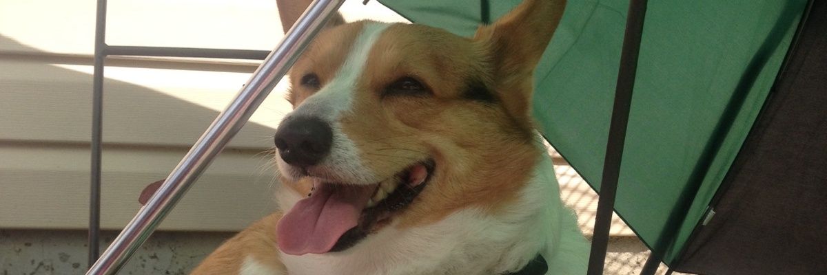 MAKINGULAFF's profile banner image