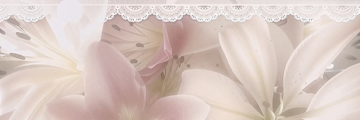 Miss Haven ༯ banner