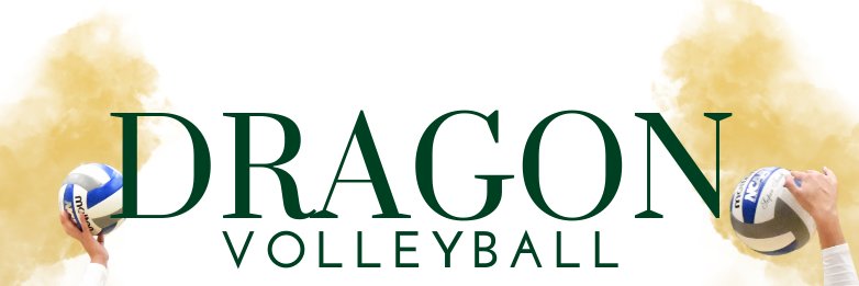 Tiffin Volleyball banner