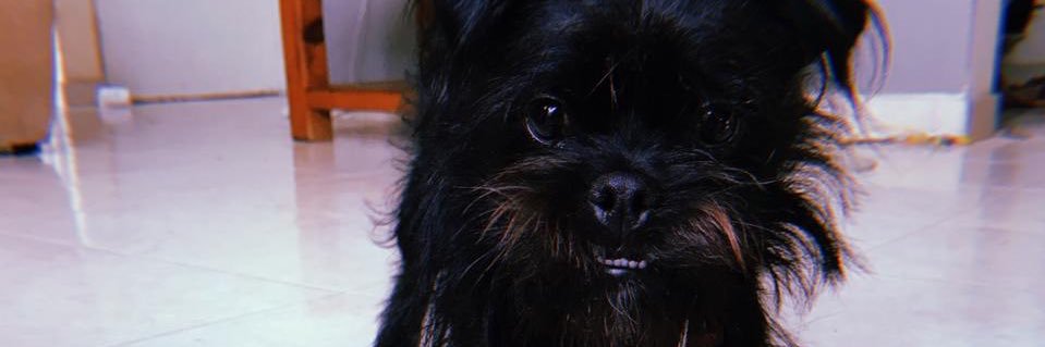 and_bbq's profile banner image