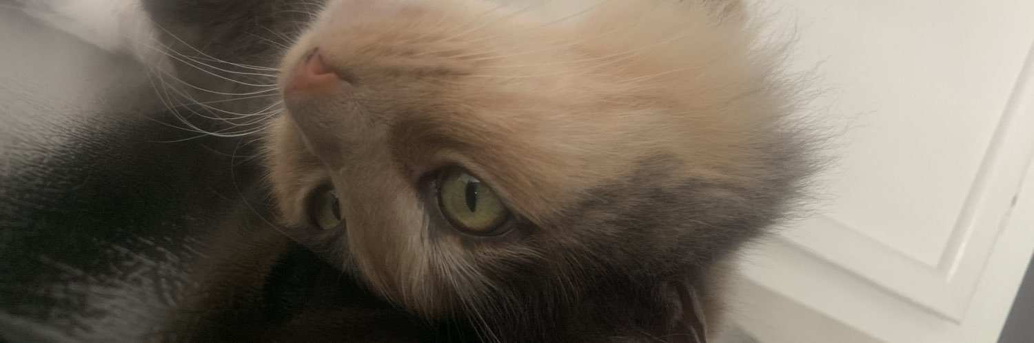 Just_Dewitt_73's profile banner image