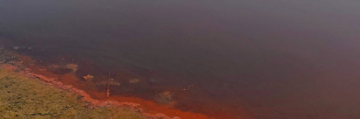lapompadourbis's profile banner image