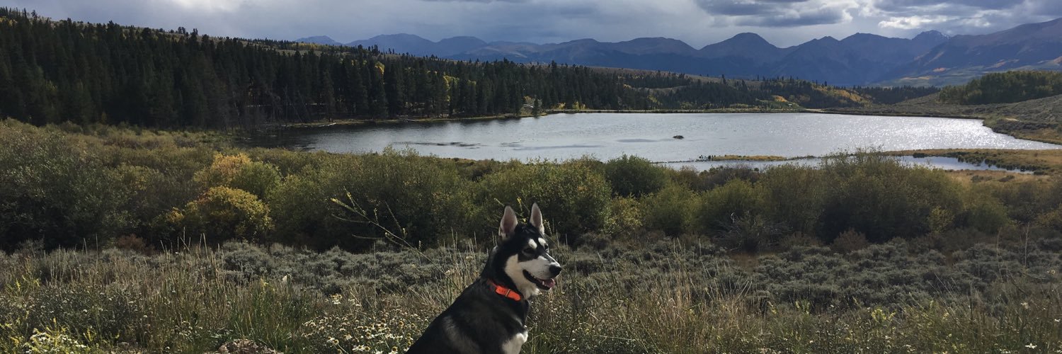 LEONthePUP's profile banner image