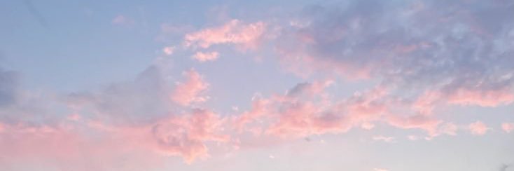 𝓽𝓪𝓷𝜗𝜚 banner